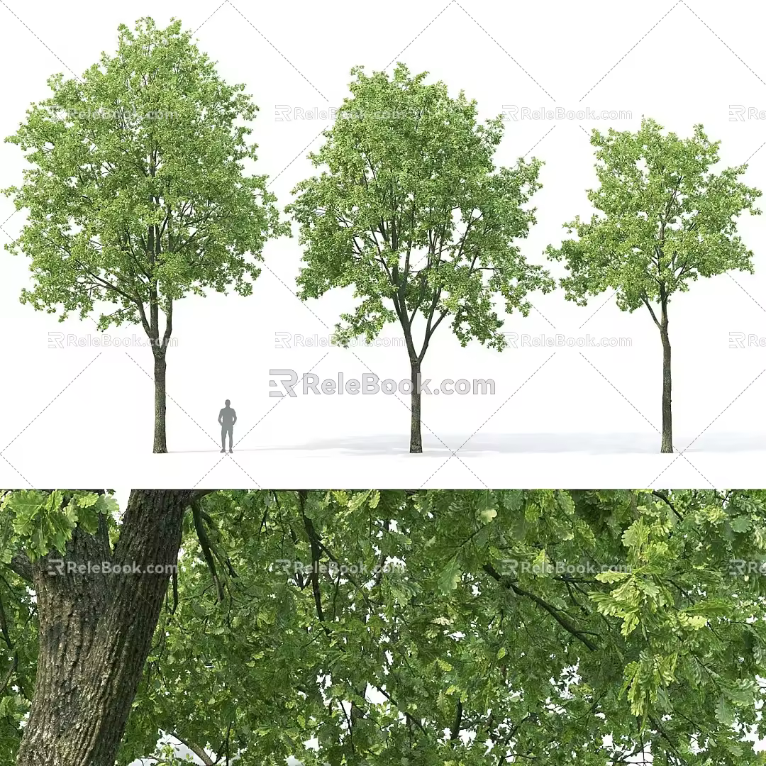 Modern Oak Tree Landscape Tree 3d model