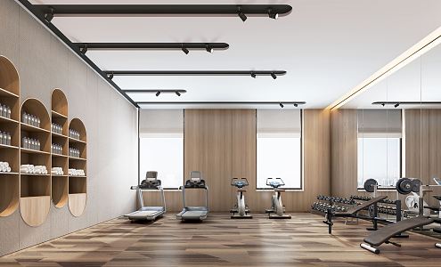 Modern Gym 3d model