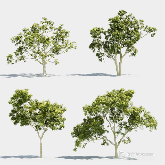 Arbor Tree Showcase Featuring Lush Green Foliage And Multiple Angles 3d model