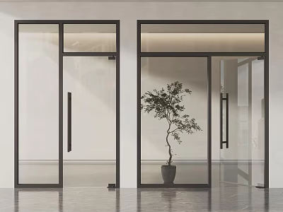 Modern Glass Doors Interior Design With Black Frames And Potted Plant 3d model