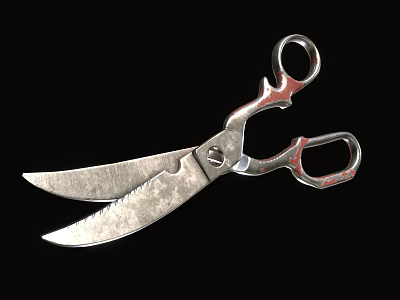 High Quality Stainless Steel Hardware Tools Scissors with Sharp Blades and Ergonomic Handles 3d model