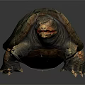 Detailed 3D Rendered Turtle With Green Textured Shell And Orange Head On Dark Background