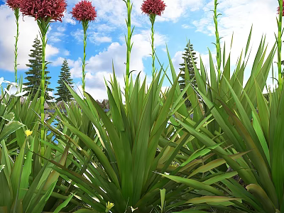 Green Leafy Shrubs With Red Flowers Against Blue Sky And Pine Trees 3d model