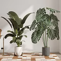 Large Leafy Indoor Potted Plants In Bright Room With Geometric Tiled Floor And Sofa