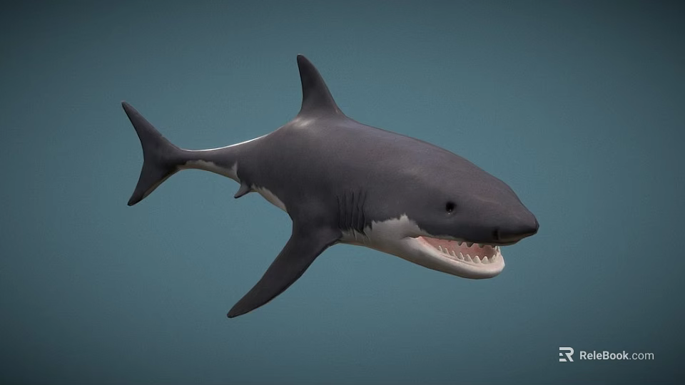 Gray Shark With Open Mouth And Sharp Teeth In Blue Background 3d model 