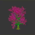 Isolated Tree With Thick Trunk Lush Green Canopy Against Dark Background