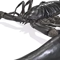 Realistic Black Scorpion Reptile With Shiny Exoskeleton Claws And Tail