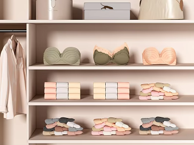 Neatly Arranged Clothes in Wardrobe Shelves with Hanging Shirts Folded Lingerie and Colorful Garments 3d model