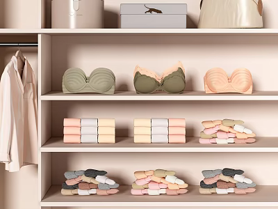 Neatly Arranged Clothes in Wardrobe Shelves with Hanging Shirts Folded Lingerie and Colorful Garments 3d model