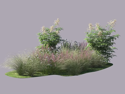 Decorative Shrubs With Flower Spikes And Ornamental Grasses In Garden Landscape 3d model