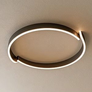 Ceiling lamp 3d model
