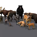 Various Wild Animal Figurines Including Bear Deer Moose And Pig On Black Background