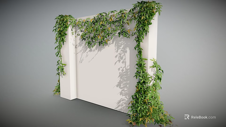 Lush Green Vines Climbing On White Wall With Dense Leaves And Shadows 3d model 