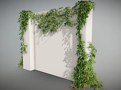 Lush Green Vines Climbing On White Wall With Dense Leaves And Shadows 3d model