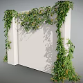 Lush Green Vines Climbing On White Wall With Dense Leaves And Shadows