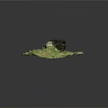 Natural Green And White Rock Formation With Textured Surface And Dark Accents