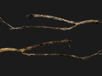 Natural Stone And Weathered Wooden Branches As Rustic Decorative Elements In Crafts 3d model