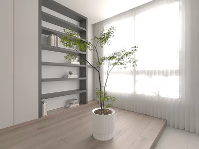 Modern Indoor Bonsai Plant In White Pot With Gray Bookshelf And Natural Light 3d model