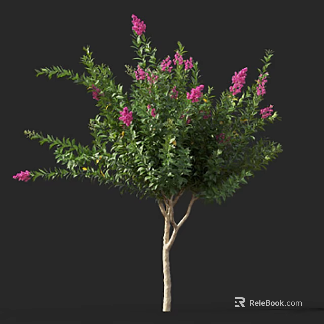 Lush Green Shrub With Vibrant Pink Flowers And Dense Foliage 3d model 