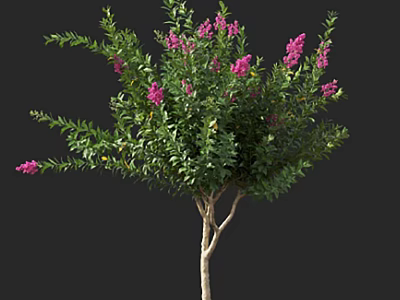 Lush Green Shrub With Vibrant Pink Flowers And Dense Foliage 3d model