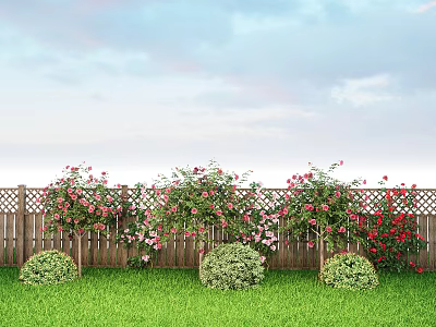 Garden Landscape Featuring Wooden Fence Blooming Rose Bushes Trimmed Shrubs And Green Lawn 3d model