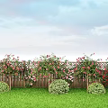 Garden Landscape Featuring Wooden Fence Blooming Rose Bushes Trimmed Shrubs And Green Lawn