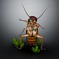 Anthropomorphic Cockroach Standing With Green Eyes Holding Bottle Among Green Grass On Dark Background