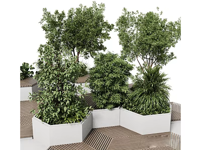 Lush Green Plants in White Planters for Outdoor Garden Area with Wooden Flooring 3d model