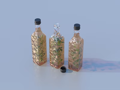 Bottle Ornaments Life Supplies 3d model