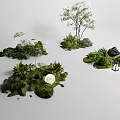 Garden Miniature Arrangements With Green Plants Rocks Tree Moon Ornament And Small Light