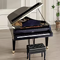 Elegant Black Grand Piano Interior With Bench Wooden Floor And Potted Plant
