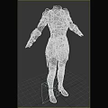 Elaborate Silver And Gold Accented Armor With Armored Sleeves And Leg Protection