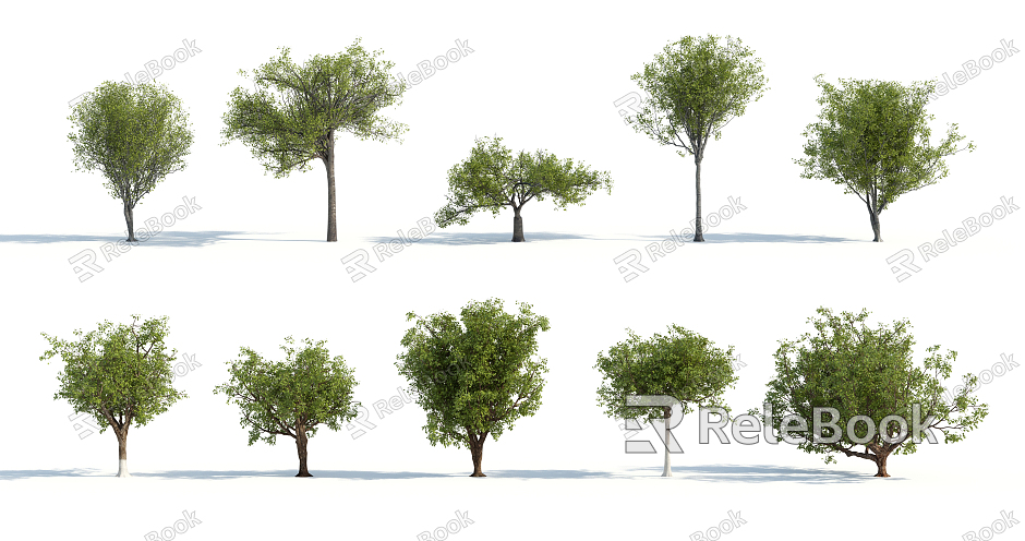 The Modern Tree model