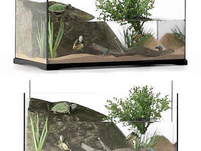 Other Aquarium Contests Aquarium Seaweed Island Shrubs 3d model