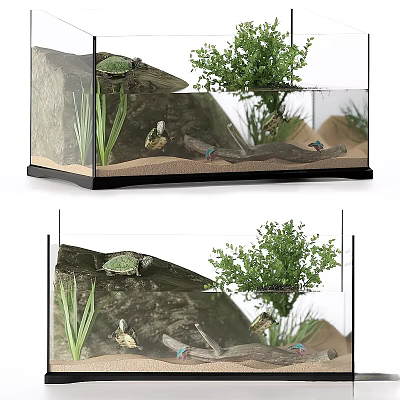 Turtle Habitat Glass Terrarium with Rock Plants Sand and Natural Elements 3d model