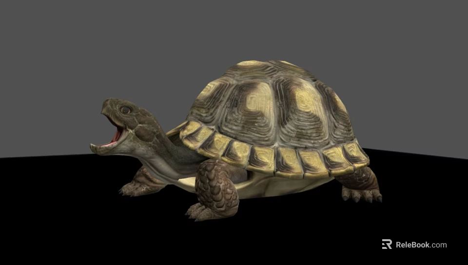 Reptile Tortoise Showing Open Mouth And Hard Shell With Brown Yellow Pattern 3d model 