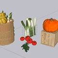 Fresh Vegetables in Basket Wire Basket and Wooden Crate with Pumpkin Tomatoes Celery and Herbs