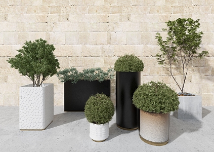 Modern Green Plant Potted Plant Square Green Plant Shopping Mall Green Plant Decoration Rectangular 3d model