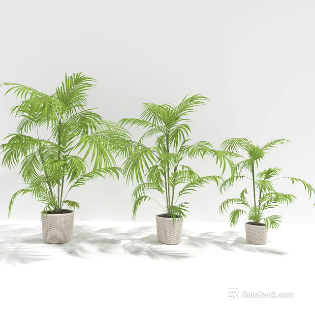 Bonsai Potted Plants with Green Palm Leaves in Woven Pots for Indoor Decor 3d model 