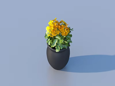 Bonsai Potted Plant with Yellow Flowers and Green Leaves in Black Pot on Gray Background 3d model