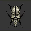 Black and White Patterned Beetle with Intricate Carapace Design Long Antennae and Segmented Legs