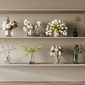 Elegant Decorative Ornament Arrangement with Glass Vases White Flowers and Green Plants on Shelves