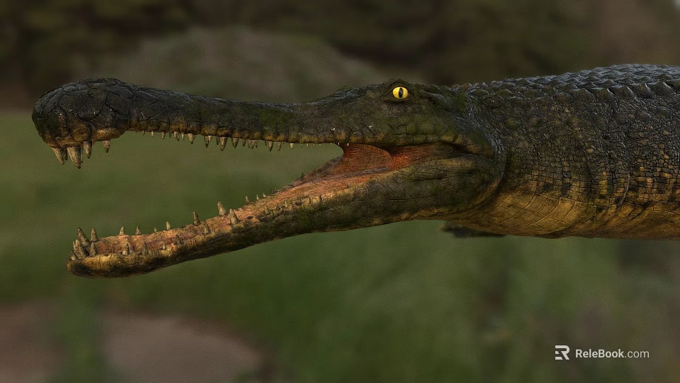 Large Crocodile with Open Mouth Sharp Teeth and Yellow Eyes in Natural Green Habitat 3d model 