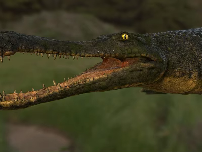 Large Crocodile with Open Mouth Sharp Teeth and Yellow Eyes in Natural Green Habitat 3d model