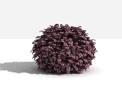 Modern Shrub Redwood Ball model