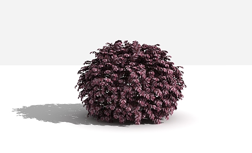 Modern Shrub Redwood Ball 3d model