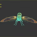 Yellow Insect With Orange And Blue Textured Wings On Grey Gradient Background With Reflection 3d model