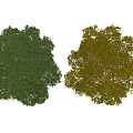 Lush Green Arbor and Bright Yellow Tree with Dense Foliage on Gray Background