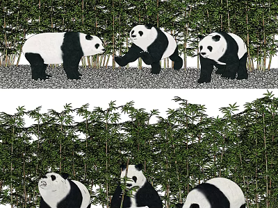 Reptiles in Bamboo Forest Natural Habitat with Green Plants and Stone Ground 3d model