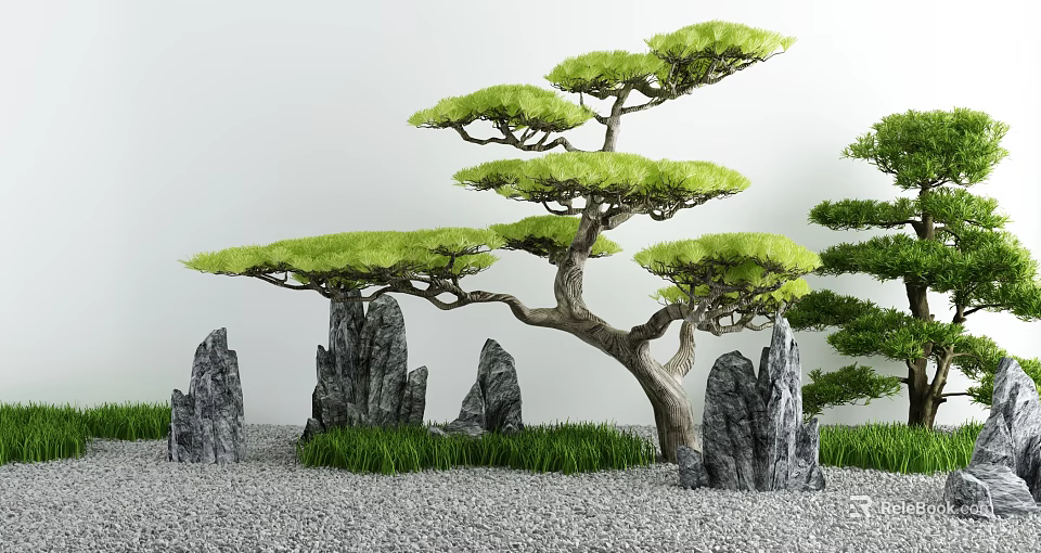 Courtyard Garden Design Featuring Styled Pine Tree Gray Rocks And Gravel Ground With Green Grass 3d model 